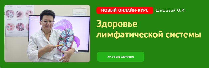 [Ольга Шишова] Здоровье лимфатической системы (202_0.png